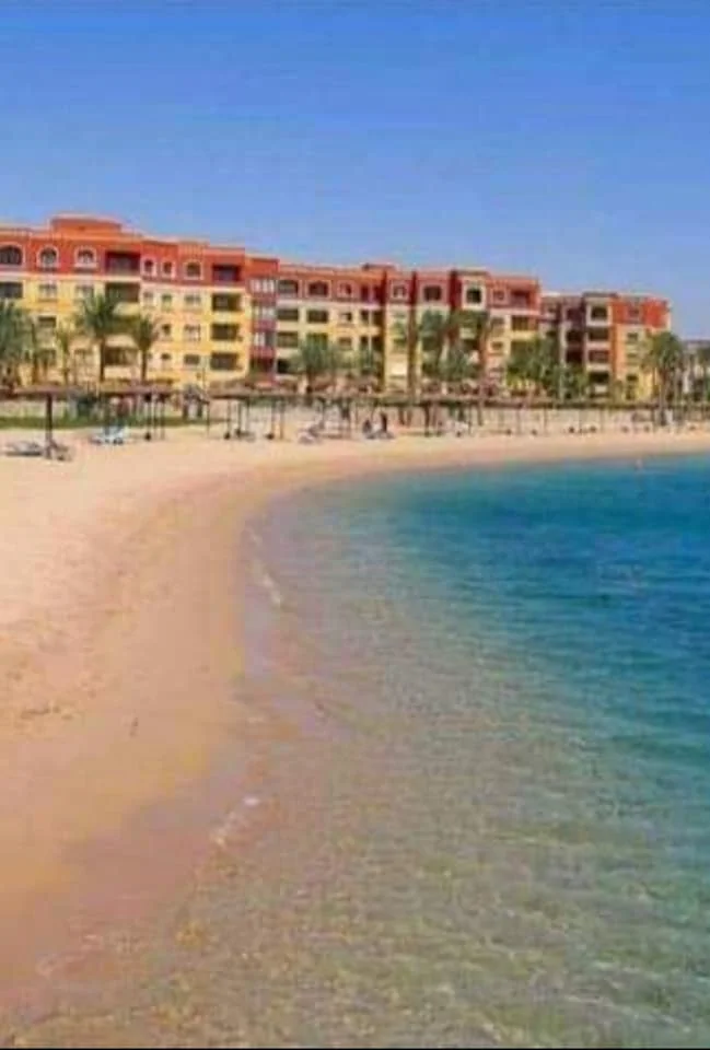 131320080_432757904523414_962548932508719745_n